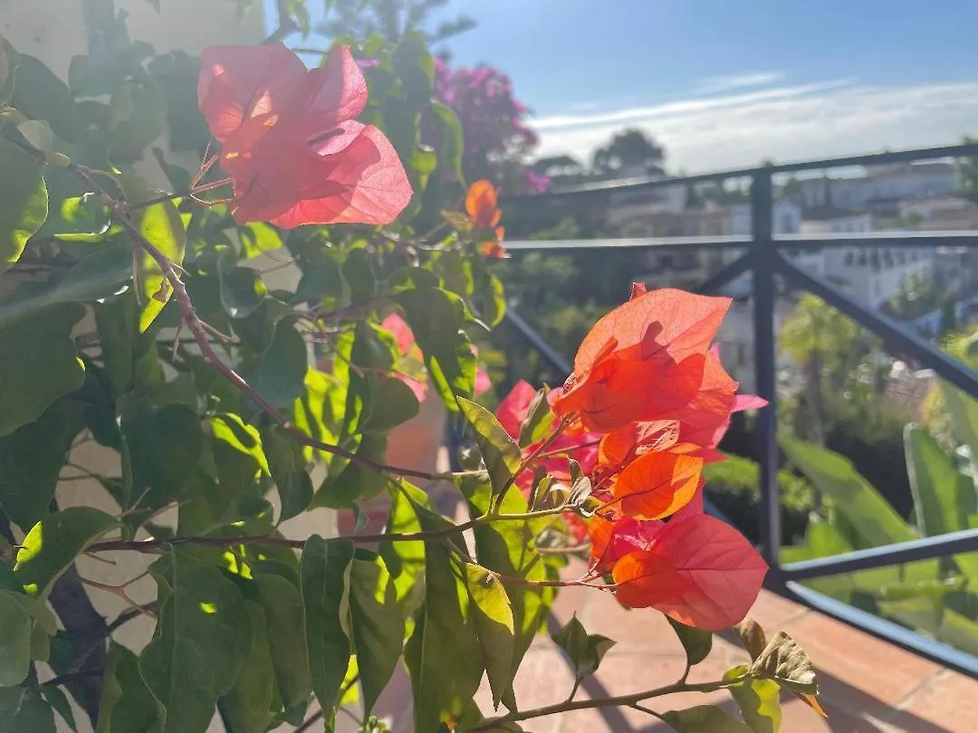 Oda ve Kahvaltı Boutique Hotel Maravilla - Marbella Benahavís İspanya