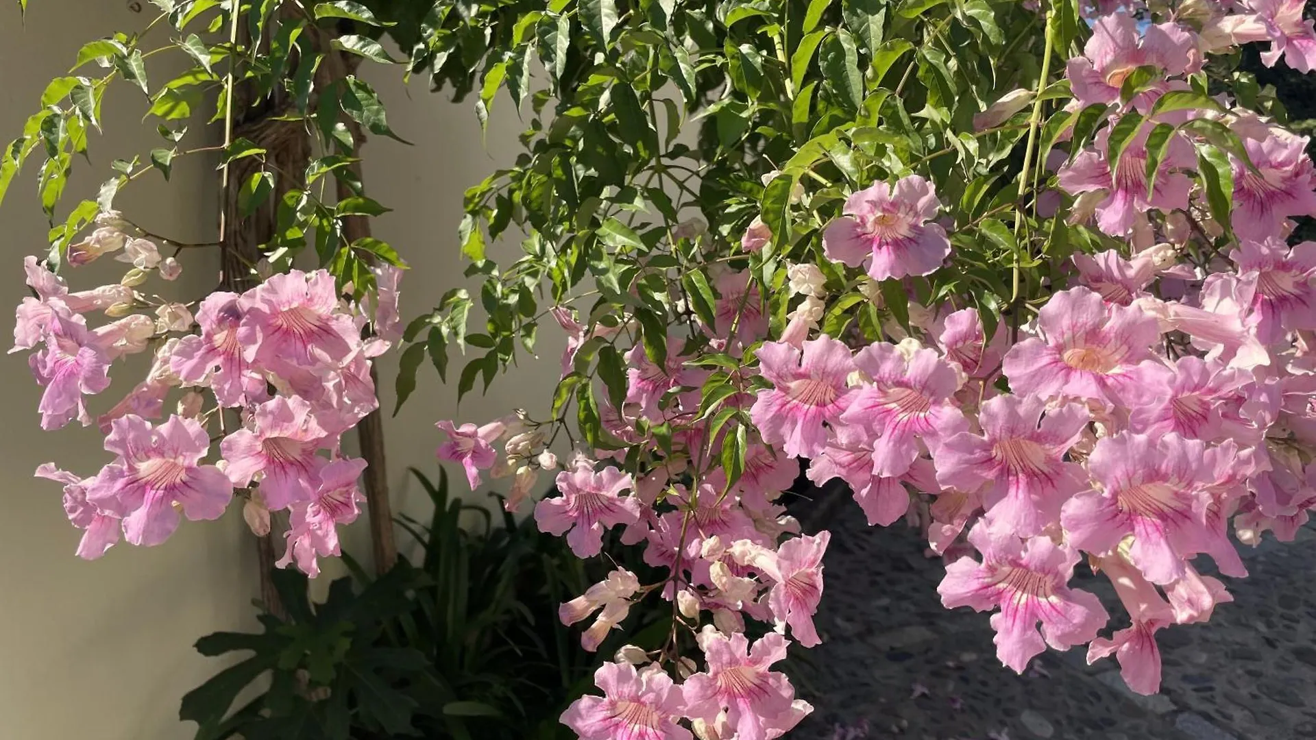 Boutique Hotel Maravilla - Marbella Benahavís